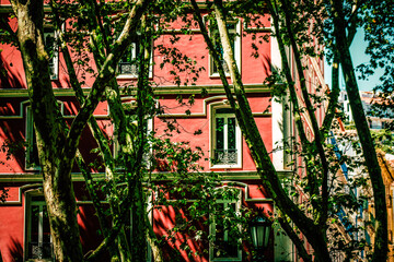Fototapety na wymiar - Fototapeta24.pl