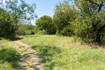 path in the park