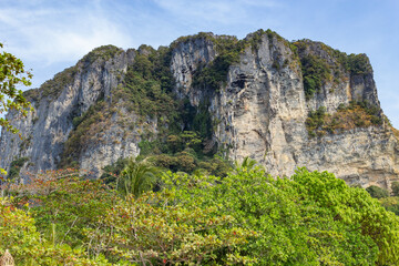 Fototapeta na wymiar tree-covered rock, in the foreground tropical plants and trees, against the blue sky