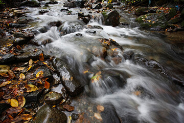 Mountain stream in forest with cascades