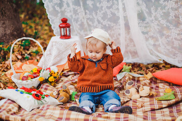 autumn photo session of a child in nature