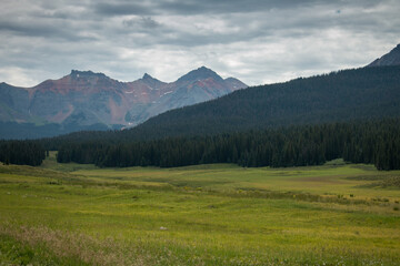 Wide open grassy landscapes in the mountains of Colorado