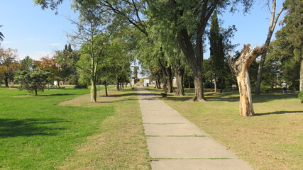Vista de camino peatonal, con árboles