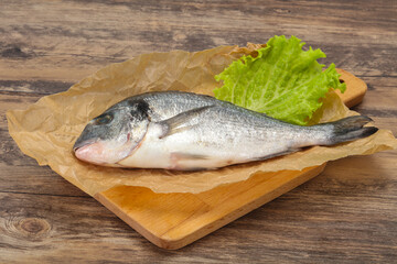 Raw Dorada fish  for cooking