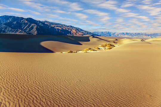 The sand dunes