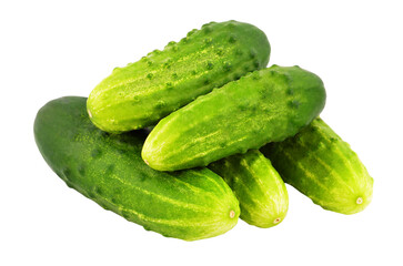 Green cucumber gherkin