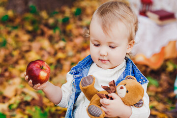 autumn photo session of a child in nature