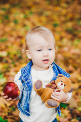 autumn photo session of a child in nature