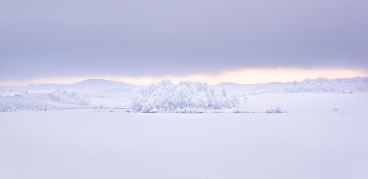 Snow landscape