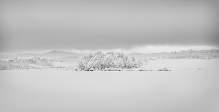 Snow landscape