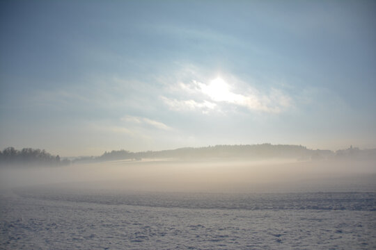 Snow landscape