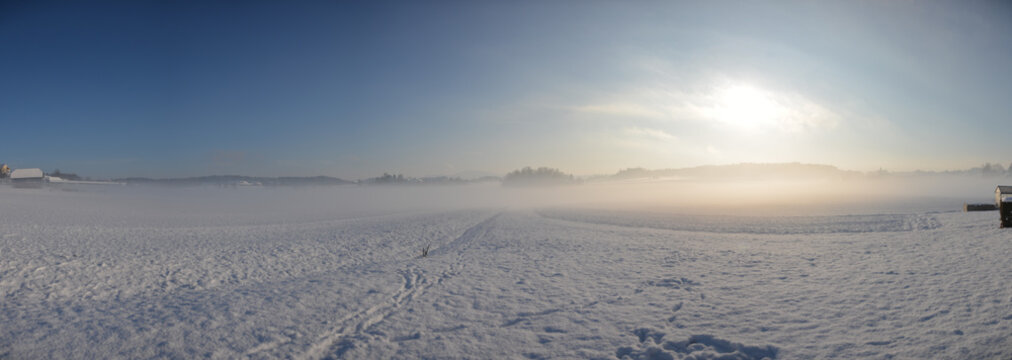 Snow landscape