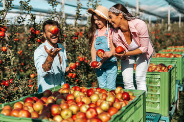 Happy family enjoying together while picking apples in orchard.