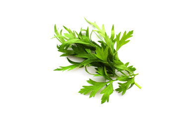 fresh green parsley on white