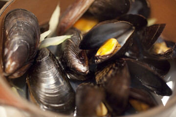 ムール貝