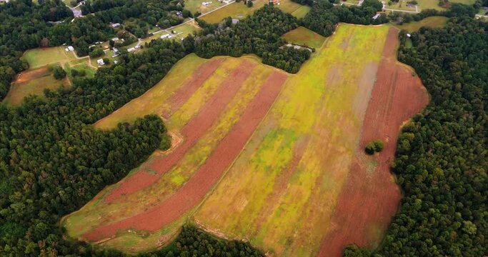 A Half Plowed Field That is Brown and Green and Surrounded by Trees. Flying over Burlington, North Carolina you can see a formerly wooded area that has started to regrow in densely packed trees.