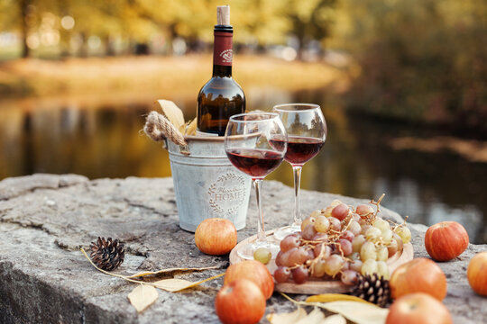 Two glasses and a bottle of red wine in the autumn vineyard. Harvest time