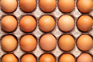 brown chicken eggs in a carton top view