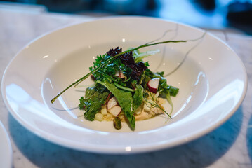 Green salad in dish