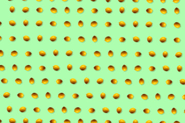 lemon pattern. lemon isolated on green. tropical pattern.