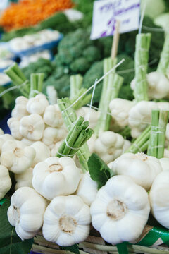 Fresh garlic