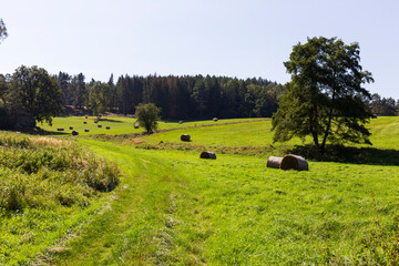 Fototapeta premium Late summer Landscape in the Czech Switzerland, Czech Republic