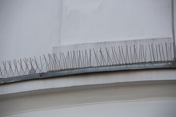 Bird control spike on the facade of a building in the city