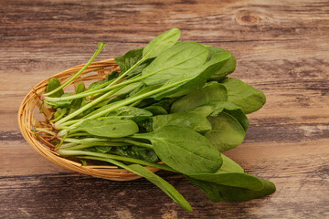 Fresh green Spinach leaves heap