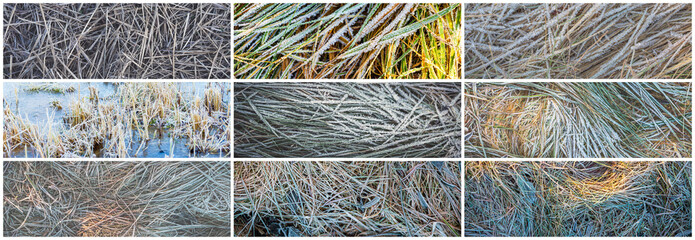 Collection of panoramic natural backgrounds with hoarfrost on the grass. Set of ground textures with grass covered with frost. Frozen meadow plants. Rime ice on blades of grass during frosts.