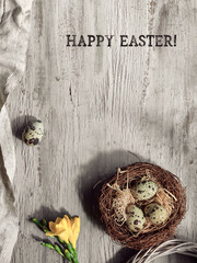 Text Happy Easter. Quail Easter eggs in bird nest. Freesia flowers, spring sunlight with long shadows.