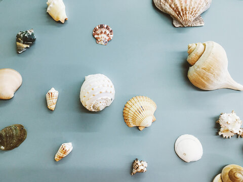 Shells in a classroom