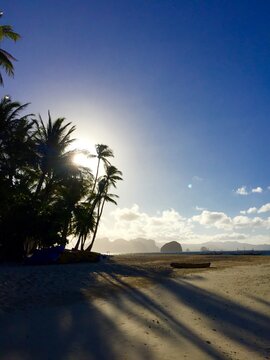 Beach with the sun setting among the palm trees