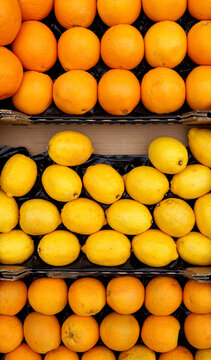 Oranges and lemons on display