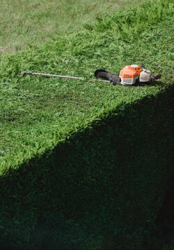Petrol hedge trimmer sitting on top of a half cut hedge.