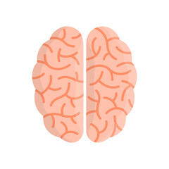 Intellectual Ability Concept. Brain Top View.