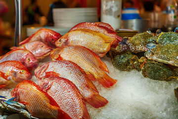 red fish, a snapper lies on ice to keep fresh and salable
