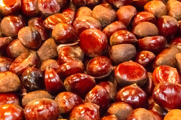 Chestnut ripe delicious nourishing brown many fruits shiny. Europe Street Food