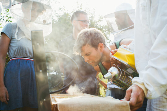 Apiculture Workshop - Male Apiculture Student Observing Bee Behaviour