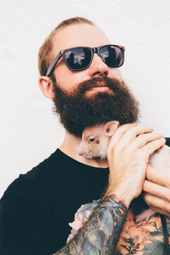 Bearded man in sunglasses with micropig