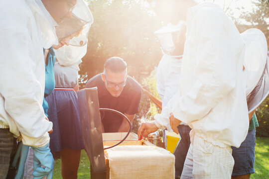 Apiculture Workshop - Apiculture Students Observing Bee Behaviour
