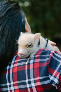 Black-haired woman carrying piglet on shoulder