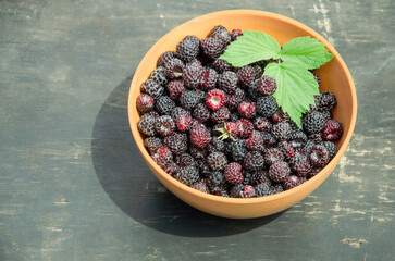 Black raspberries collected in a plate with leaves on an old wooden table top selective focus