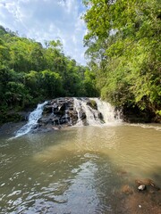 Fototapeta premium waterfall in the forest