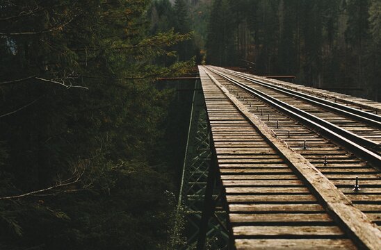 Vance Creek Bridge