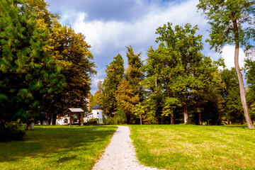 Fototapeta na wymiar country road in the park