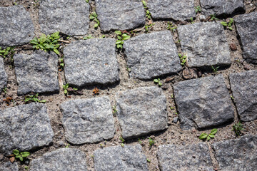 Paving stones on the street of a European city