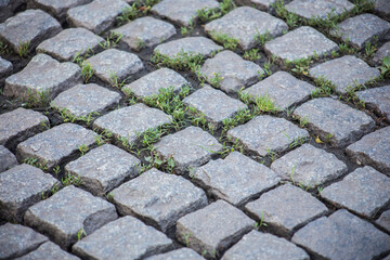 Paving stones on the street of a European city