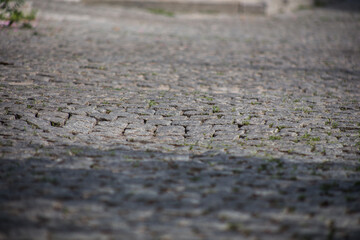 Paving stones on the street of a European city