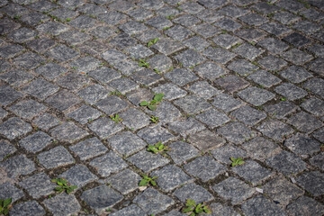 Paving stones on the street of a European city