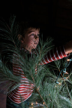 boy setting up christmas tree